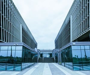 Park 11