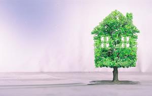 header-tree